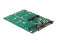 Delock Converter SATA 22 Pin > 1 x M.2 NGFF + 1 x mSATA - Laufwerksschachtadapter - 2,5" auf mSATA / M.2-Standard (6,4 cm auf mSATA / M.2-Standard)