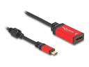 Delock Adapterkabel - 24 pin USB-C (M) zu DisplayPort (W)