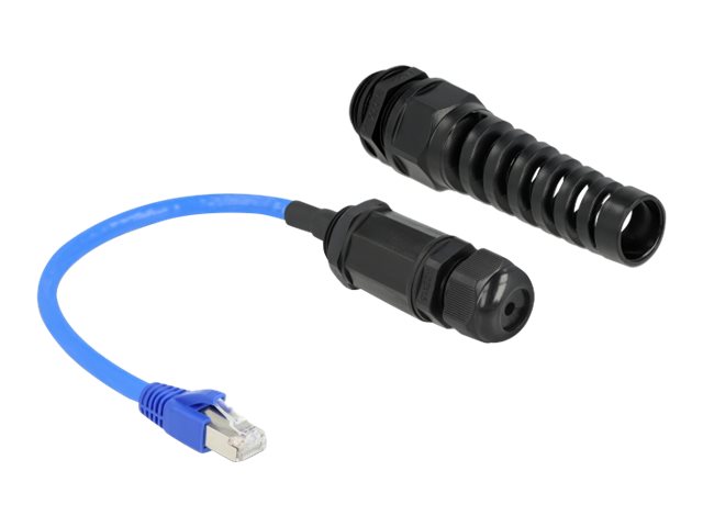 Delock Netzwerkadapter - RJ-45 (M) zu RJ-45 (W)