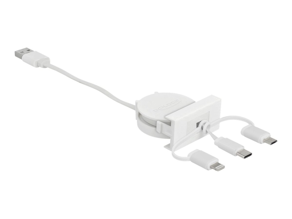 Delock Easy - Lightning-Kabel - USB männlich zu Micro-USB Typ B, Lightning, USB-C männlich