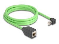 Delock Netzwerkverlängerungskabel - RJ-45 (M)