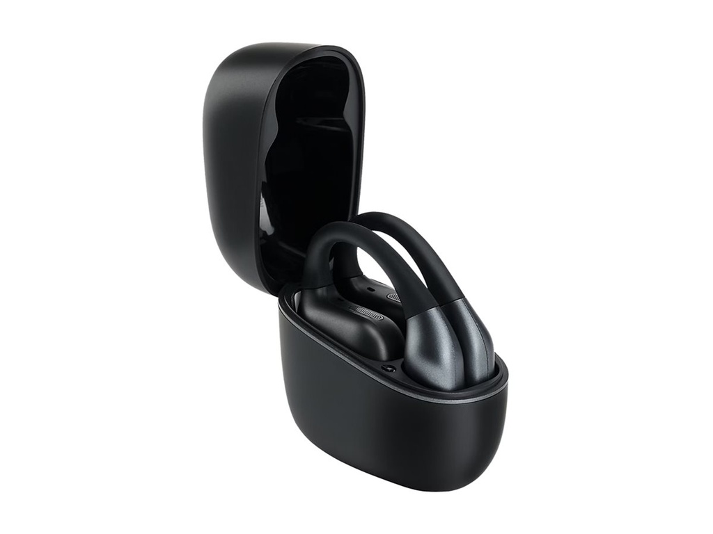 Panasonic RB-F10DE - True Wireless-Kopfhörer