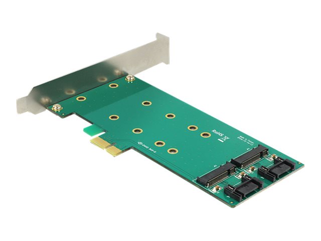 Delock PCI Express Card > 2 x internal M.2