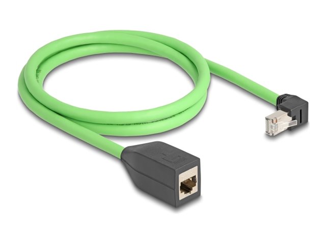 Delock Netzwerkverlängerungskabel - RJ-45 (M)