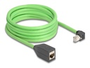 Delock Patch-Verlängerungskabel - RJ-45 (M)