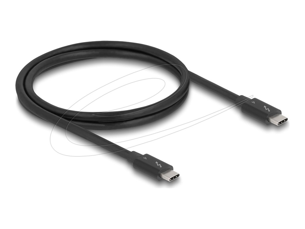 Delock Thunderbolt-Kabel - USB-C (M) zu USB-C (M)