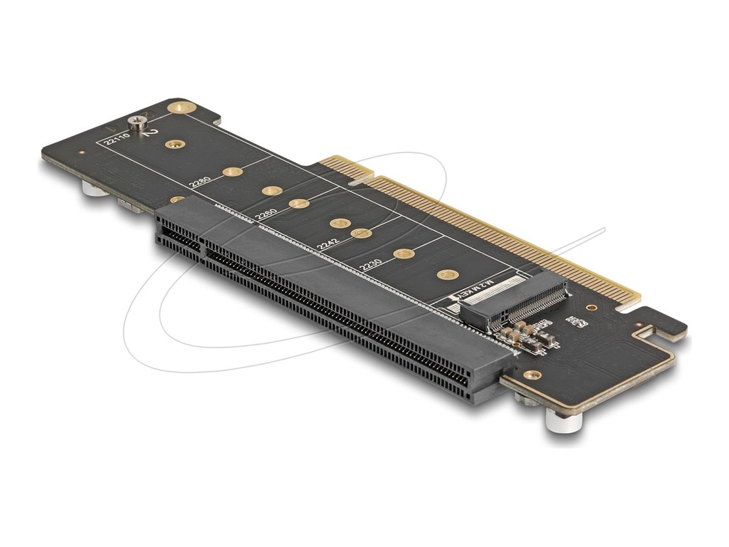 Delock Riser Card