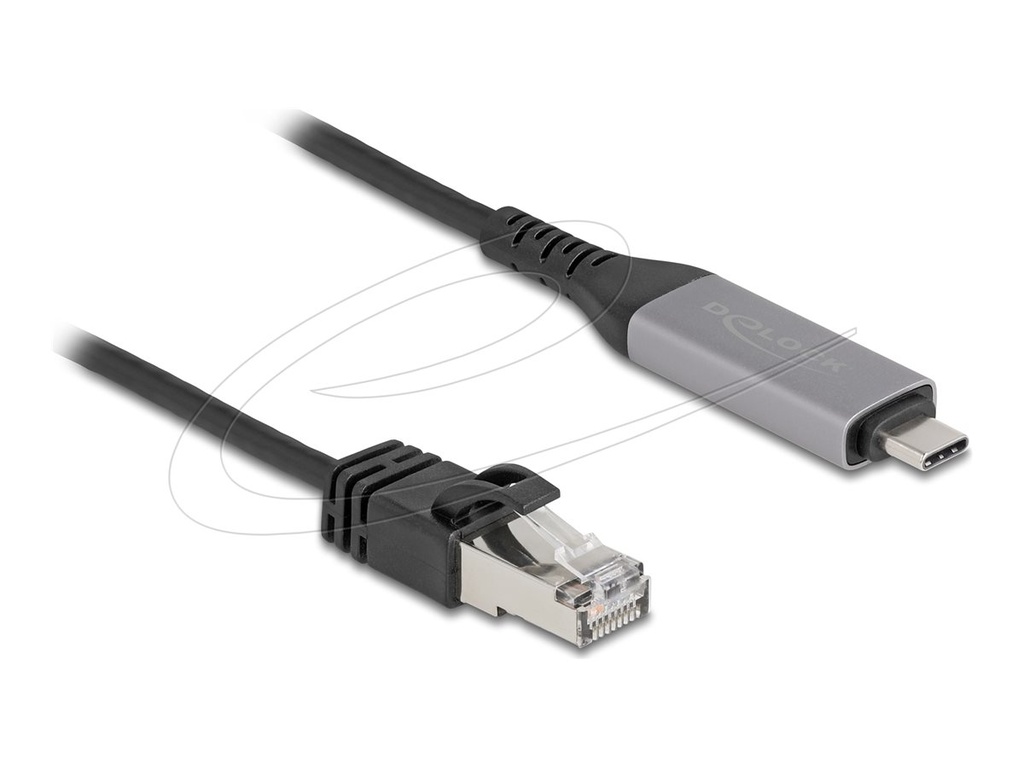 Delock USB LAN Kabel Type-C zu RJ45 Gigabit Ethernet - Kabel - Digital/Daten