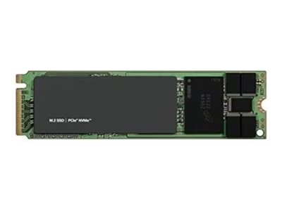 Dell  Kunden-Kit - SSD - Read Intensive - 960 GB - intern - M.2 2280 - PCIe (NVMe)
