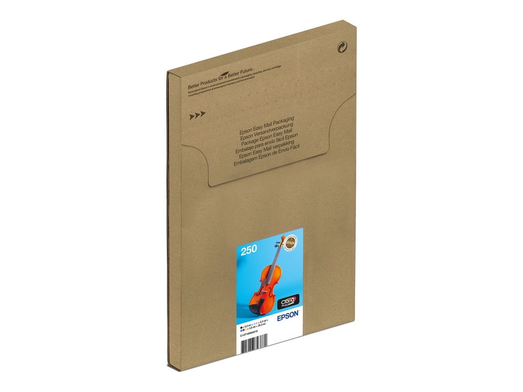 Epson 250 Multipack EasyMail - 6er-Pack - Schwarz