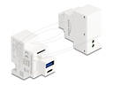 Delock Snap-in-Modul (Keystone) - PD 20 W
