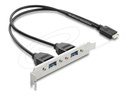 Delock USB-Konsole - 20-poliger USB Typ E (M)