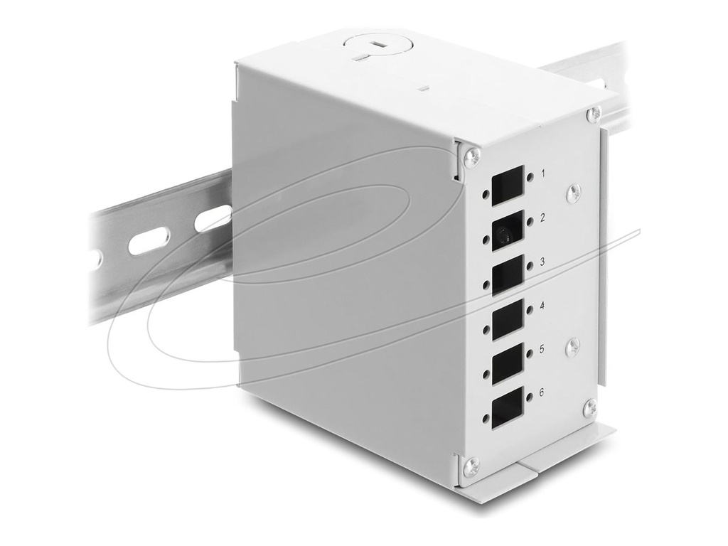 Delock Glasfaser-Patchpanel (blank) - DIN schienenmontierbar