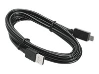 Zebra USB-Kabel - USB (M) zu USB-C (M) - für