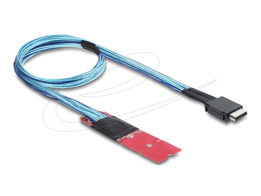 Delock Internes SAS-Kabel - M.2 M Schlüssel (M)