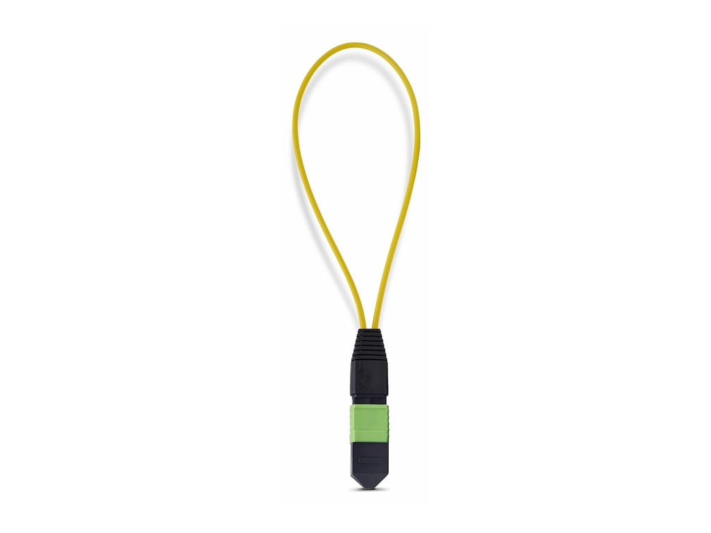 StarTech.com Startech - Loopback-Adapter - TAA-konform - MPO-12 Single-Mode (W)