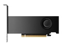 HP NVIDIA RTX PRO 2000 Blackwell - Grafikkarte