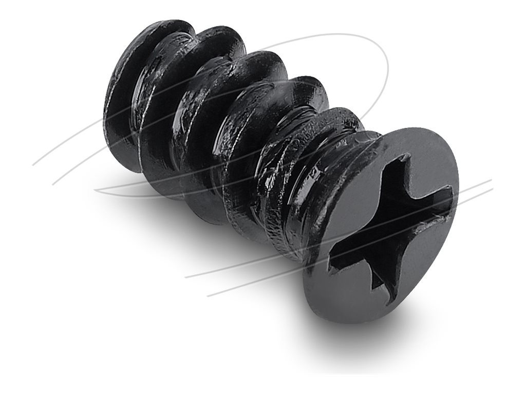 Delock Schrauben-Kit - M5 x 10 mm - Schwarz (Packung mit 50)