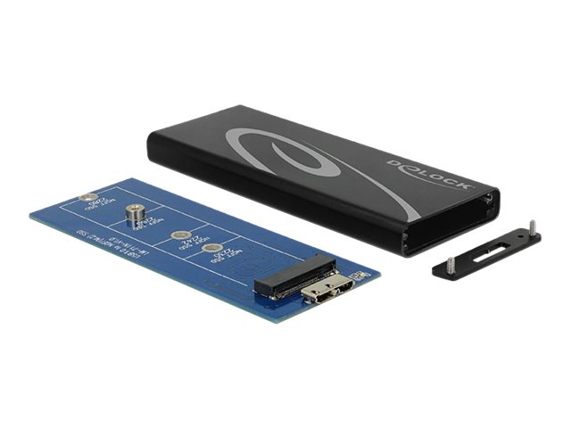 Delock Speichergehäuse - M.2 Card - USB 3.1 (Gen 2)