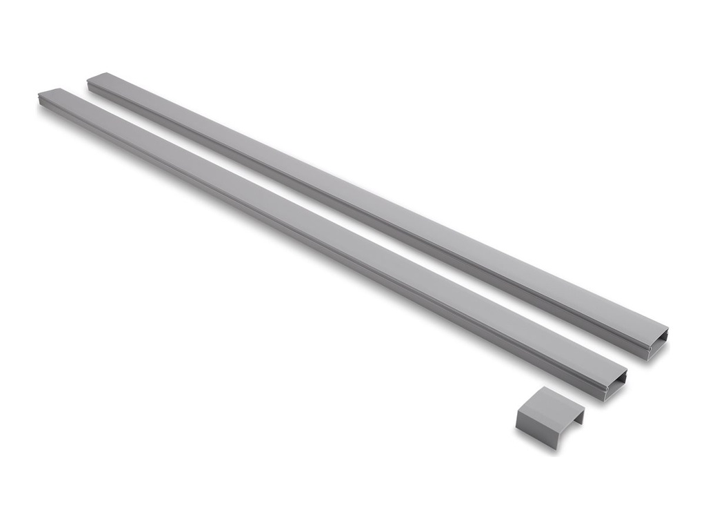 Delock Kabelkanal - self-adhesive, with sliding cover, 40 x 19 mm, including connector length - 1 m - Grau (Packung mit 2)