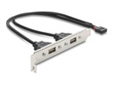Delock USB-Konsole - 9-poliger USB 2.0 Kopf (W)