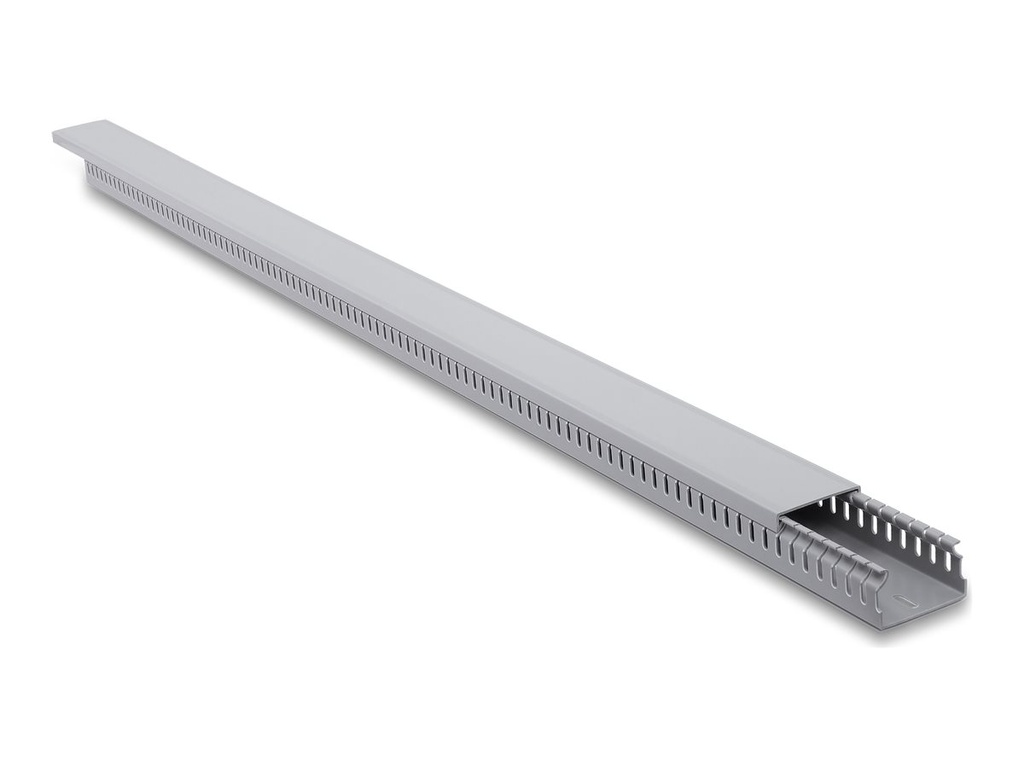 [22131] Delock Kabelkanal - 50 x 30 mm - 1 m - Grau