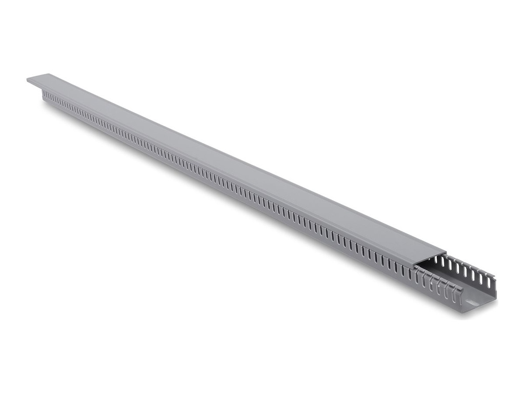 Delock Kabelkanal - 40 x 25 mm - 1 m - Grau