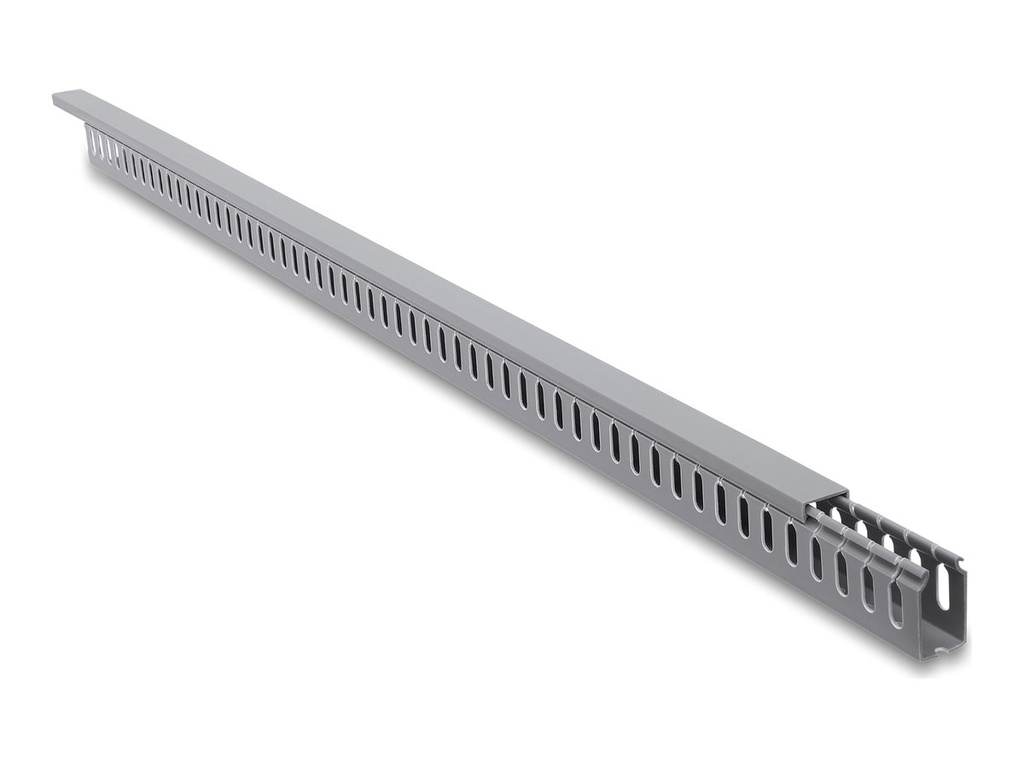 [22138] Delock Kabelkanal - 25 x 45 mm - 1 m - Grau