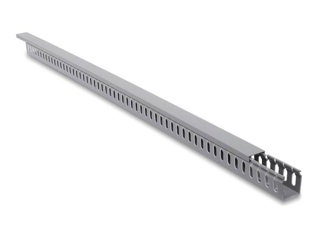 Delock Kabelkanal - 30 x 40 mm - 1 m - Grau
