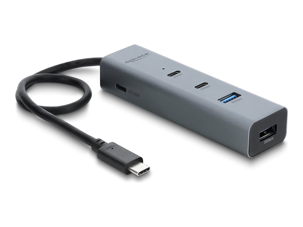 Delock Hub - 5 GBps, PD 100 Watt - Desktop