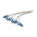 Synergy 21 LWL-Pigtail-LC 9/125u OS2 12-Pack farbig - Kabel - 2 m