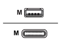 Zebra USB-Kabel - USB (M) zu USB-C (M)