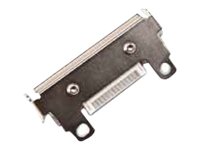 HONEYWELL 203 dpi - Druckkopf - für Intermec
