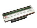 HONEYWELL 203 dpi - Druckkopf - für I-Class