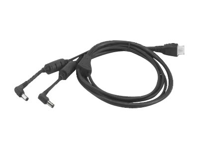 Zebra DC "Y" Cable - Stromkabel