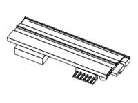 HONEYWELL 300 dpi - Druckkopf - für I-Class