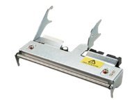 HONEYWELL 300 dpi - Druckkopf - für Honeywell PM43