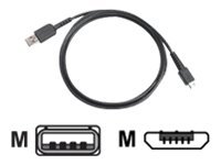 [25-124330-01R] Zebra USB-Kabel - USB (M) zu Micro-USB Typ B (M)