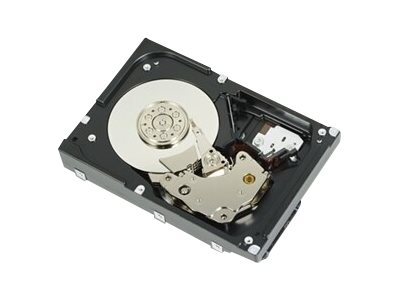Dell  Festplatte - 1.2 TB - Hot-Swap - 2.5" (6.4 cm)