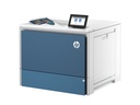 HP Color LaserJet Enterprise 6701dn - Drucker - Farbe - Duplex - Laser - A4/Legal - 1200 x 1200 dpi - bis zu 65 Seiten/Min. (einfarbig)/