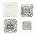 Synergy 21 S216358 - 2 x RJ-45 - 6a - Weiß - 80 mm - 80 mm - 5,6 cm