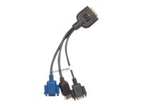 HPE Video-/USB-/serielles Kabel im Set - SUV-Stecker, 36-polig (M)