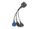 HPE Video-/USB-/serielles Kabel im Set - SUV-Stecker, 36-polig (M)