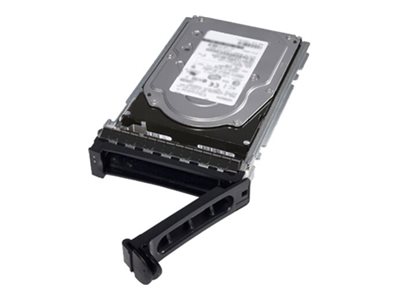 Dell  Kunden-Kit - SSD - Read Intensive - 480 GB - 512e - Hot-Swap - 2.5" (6.4 cm)