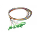 [S215594V2] Synergy 21 LWL-Pigtail-LC APC 9/125u. OS2 12-Pack farbig - Kabel - Single- bzw. Monomode-Faser
