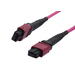 [S216787] Synergy 21 S216787 - 2 m - OM4 - MTP - MTP - Kabel - Netzwerk