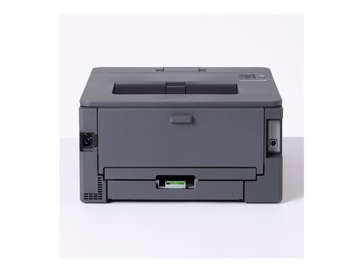 [HLL2400DWRE1] Brother HL-L2400DW - Drucker - s/w - Duplex -