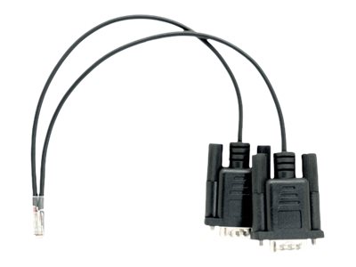 [CABCONSOLERSRJ110M2] QNAP Serielles Konsolenkabel - RJ-11 zu RS-232