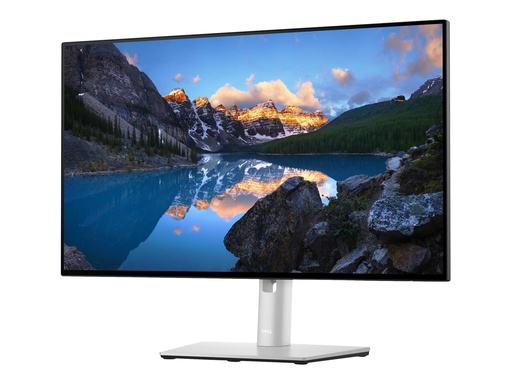 [DELL-U2422H] Dell UltraSharp U2422H - LED-Monitor - 61 cm (24")