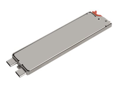 [GSSEX3] GETAC SSD - 256 GB - mit Kanister - intern - PCIe (NVMe)